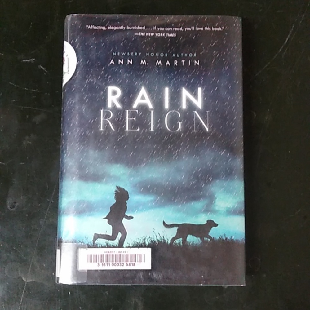 👩🏾Rain Reign Junior Fiction Children's Chapter Book